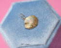 Solid Gold 14K Sea Shell Charm