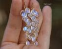 Rainbow Moonstone Dangle Cluster Earrings, Finest Quality Moonstone Earrings