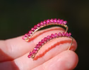 - Rubellite Pink Tourmaline Earrings, Modern Linear Gemstone Earrings