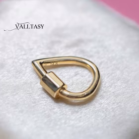 The Drop Carabiner Connector - Solid Gold 14K Carabiner Connector, Charm Holder, Push Lock