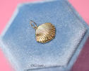 - Solid Gold 14K Sea Shell Charm
