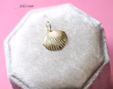 - Solid Gold 14K Sea Shell Charm