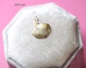 - Solid Gold 14K Sea Shell Charm